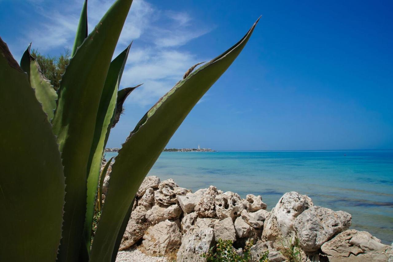 Bed & Breakfast Aurelia Sea View Torre Canne